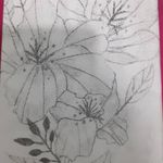 Mia Nicholas - @gcseart_mir - Instagram
