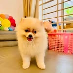 Georgina pok - @mia_norris38 - Instagram