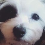 mia oswald - @captain_loud_mouth22 - Instagram
