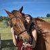 Mia Pace - Facebook