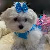 miaparrish2 - @miaparrish2 - TikTok