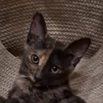 Mia - @mia.pettybourgeois - Instagram