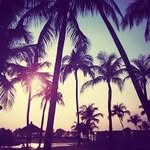miavice - @_miapetty_ - Instagram