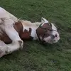 Mia Pickering - @mia.pickering - TikTok