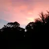 fw_Mi4🐬🌸🌴 - @mia_princess94 - TikTok