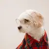 Mia - @miaprincessofagility - TikTok