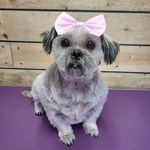 Mia Read - @miaread1 - Instagram