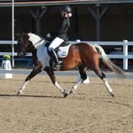 Mia - @mia_richter.rider - Instagram