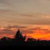 Mia - @miaroy42 - TikTok