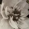 Mia Rubio - @mia.rubio4 - TikTok