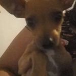 Mia Rubio - @mia.rubio.737 - Instagram