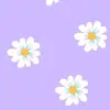 Mia Rubio - @mia.rubio00 - TikTok