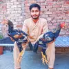 Mian Sager - @miansager - TikTok