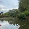 x - @mia.sagerxo - TikTok
