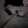 miasaric870 - @miasaric870 - TikTok