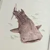 Mia - @mia_shark1 - TikTok