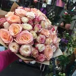 @mia_shark_555 - Instagram