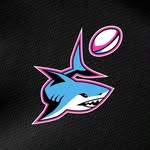 Miami Sharks Rugby - @miasharksrugby - Instagram