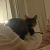 miashark_231 - @miashark_231 - TikTok