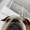 Mia Shepherd - @mia.shepherd - TikTok