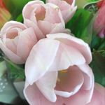 Mia Shipman - @mia_new_garden - Instagram