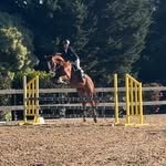 Mia Shortt - @mia.shortt_equestrian - Instagram
