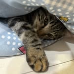 Mia - @_mia.six - Instagram