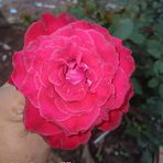 Mia Soto - Facebook