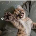 Mia Spicer - @mia.spicer.79 - Instagram
