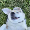 Mia Stein - @mia.stein6 - TikTok