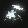 Mia Stein 🎱 - @steiner1331 - TikTok