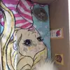 Mia❤️ - @steinmia - TikTok