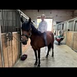 miastein - @miastein215 - Instagram