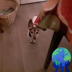 Mia Stevens - Facebook