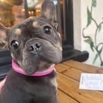 Mia Stevens - Facebook
