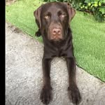 Mia Stevens - @miastevens78 - Instagram