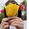 Mia Stevens  - @miabunnypotato - TikTok