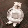 Mia_swift1702 - @mia_swift131289 - TikTok