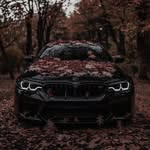 MiaSwift - @miaswift79 - Instagram