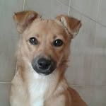 MariaTeresa Ragatzu - @miaterry57 - Instagram