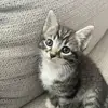 miavitalee - @miavitalee - TikTok