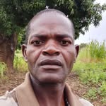 Willard Chiumia - @willardchiumia - Instagram