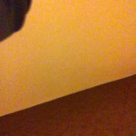 Poop - @mia.williamson - Instagram