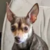 miaharvey83 - @miaharvey83 - TikTok
