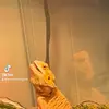 jeremiah Knight - @jeremiah.knight8 - TikTok