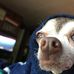 Miah Knight - Facebook