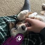 Micah Henderson - Facebook