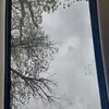 Micaela Morgan - @micaelamorgan80 - TikTok