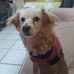 Micaela Perales - Facebook