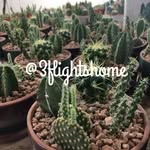 Micah Acker-wineland - @3flightshome - Instagram